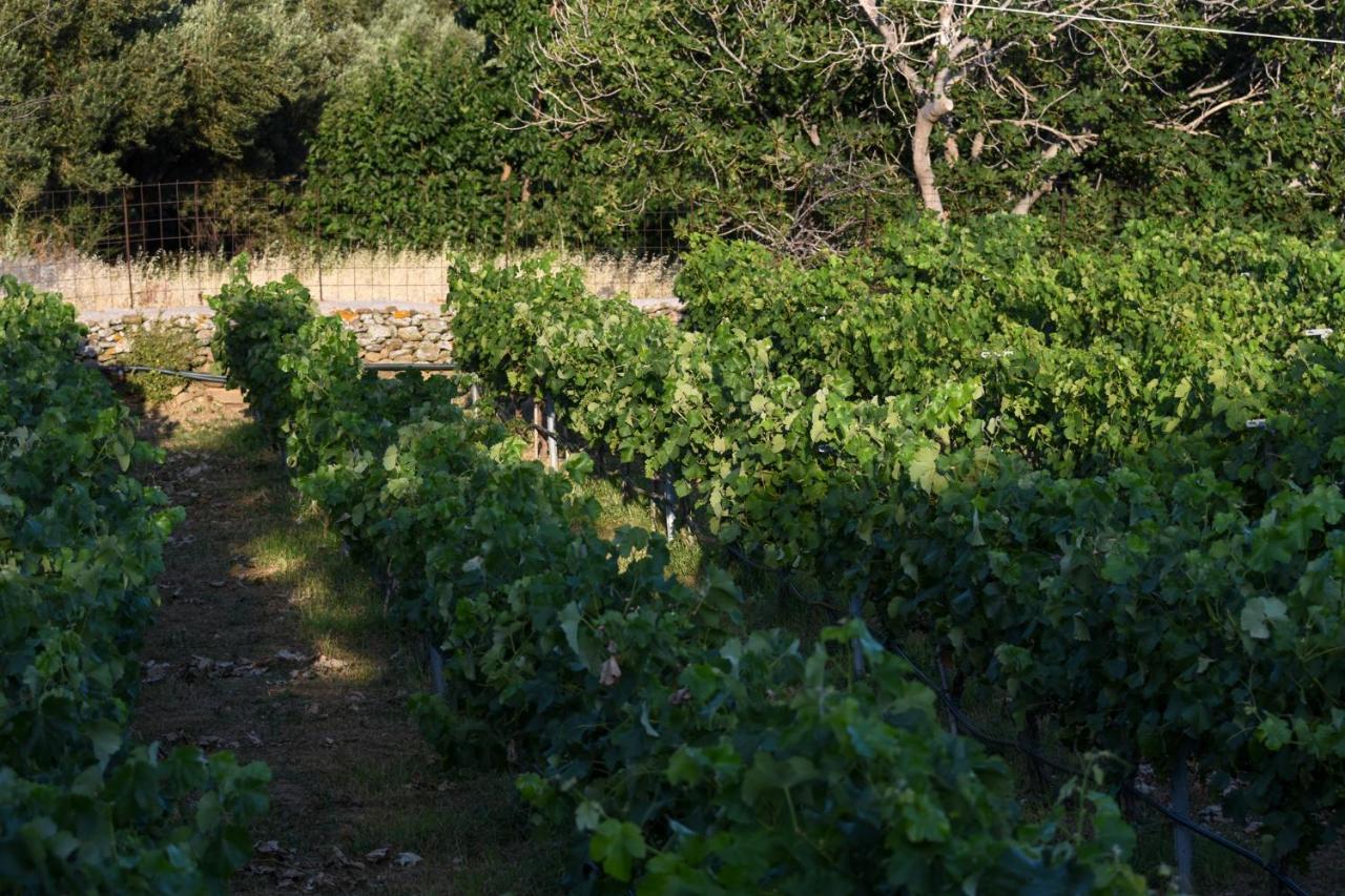 K Vineyard House *