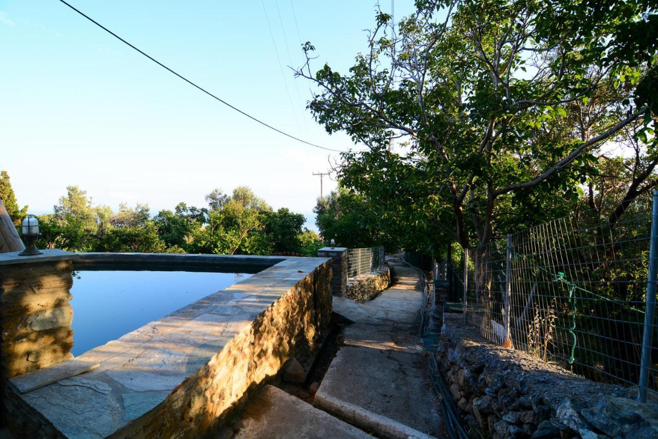 K Vineyard House